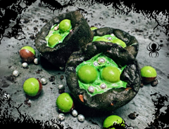 The Spookie Mill Halloween Box